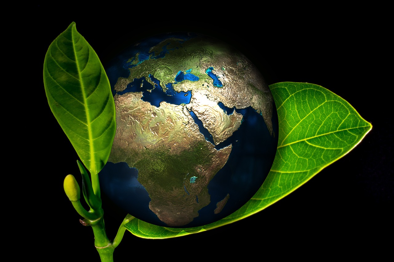 Environmental Studies